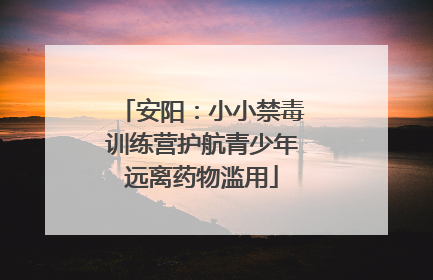 安阳：小小禁毒训练营护航青少年远离药物滥用