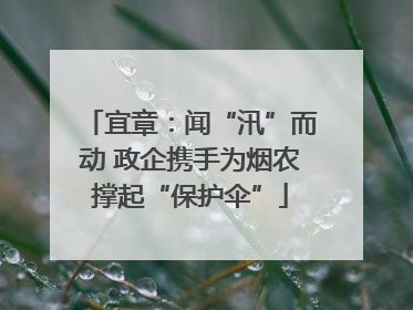 宜章：闻“汛”而动 政企携手为烟农撑起“保护伞”