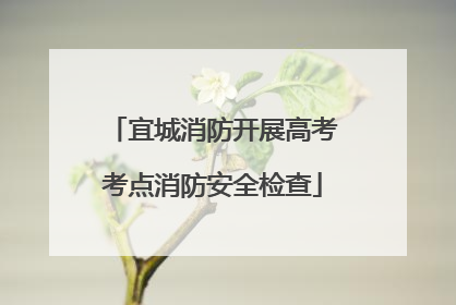 宜城消防开展高考考点消防安全检查