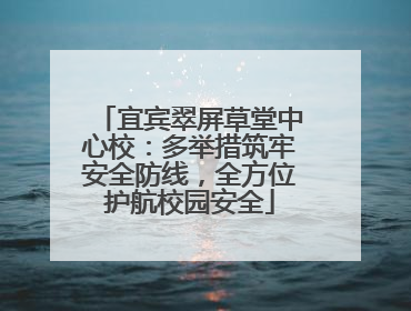 宜宾翠屏草堂中心校：多举措筑牢安全防线，全方位护航校园安全
