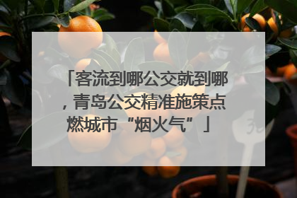 客流到哪公交就到哪，青岛公交精准施策点燃城市“烟火气”