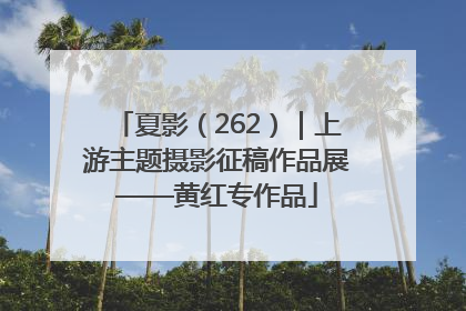 夏影（262）｜上游主题摄影征稿作品展——黄红专作品