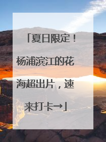夏日限定！杨浦滨江的花海超出片，速来打卡→