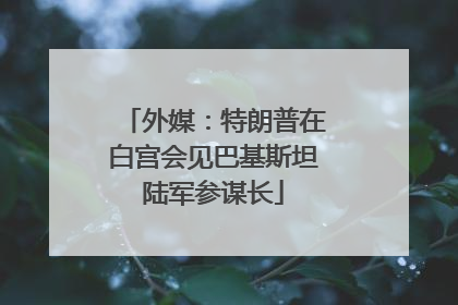 外媒：特朗普在白宫会见巴基斯坦陆军参谋长