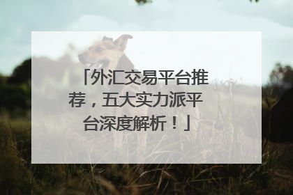 外汇交易平台推荐，五大实力派平台深度解析！