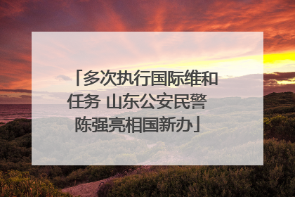 多次执行国际维和任务 山东公安民警陈强亮相国新办