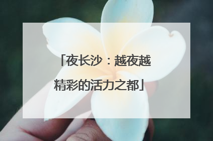 夜长沙：越夜越精彩的活力之都