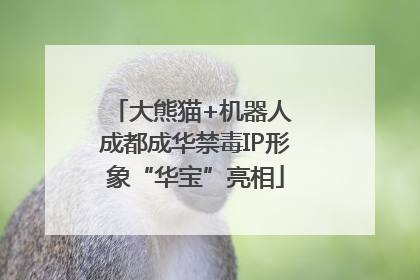 大熊猫+机器人 成都成华禁毒IP形象“华宝”亮相