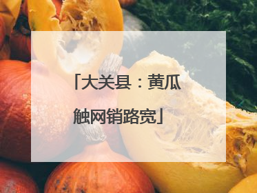 大关县：黄瓜触网销路宽