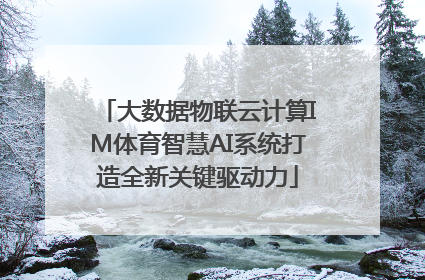 大数据物联云计算IM体育智慧AI系统打造全新关键驱动力