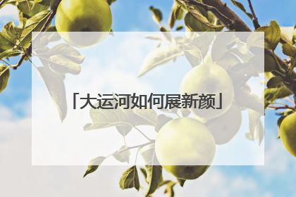 大运河如何展新颜