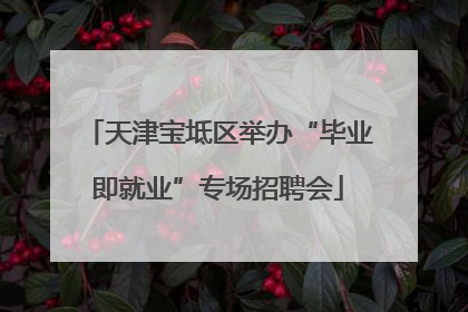 天津宝坻区举办“毕业即就业”专场招聘会