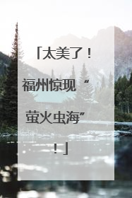 太美了！福州惊现“萤火虫海”！
