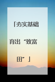 夯实基础育出“致富田”