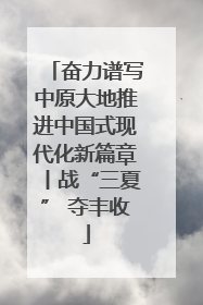 奋力谱写中原大地推进中国式现代化新篇章丨战“三夏” 夺丰收