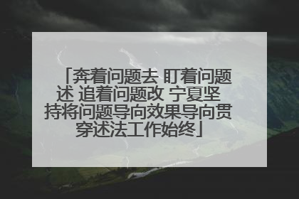奔着问题去 盯着问题述 追着问题改 宁夏坚持将问题导向效果导向贯穿述法工作始终