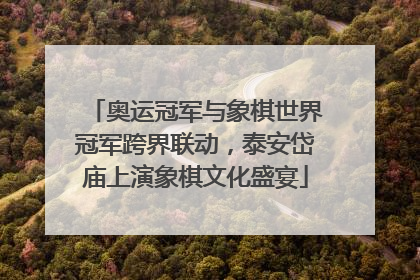 奥运冠军与象棋世界冠军跨界联动，泰安岱庙上演象棋文化盛宴