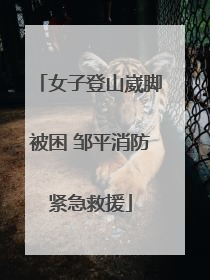 女子登山崴脚被困 邹平消防紧急救援