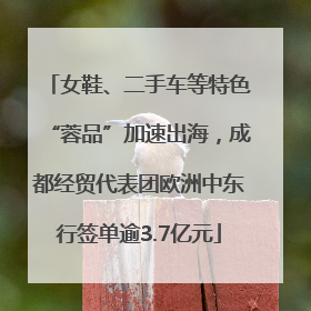 女鞋、二手车等特色“蓉品”加速出海，成都经贸代表团欧洲中东行签单逾3.7亿元