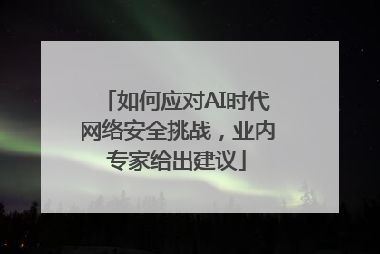 如何应对AI时代网络安全挑战，业内专家给出建议