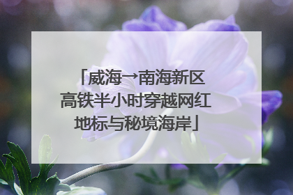 威海→南海新区 高铁半小时穿越网红地标与秘境海岸