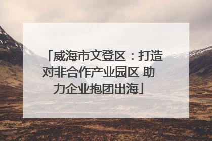 威海市文登区：打造对非合作产业园区 助力企业抱团出海