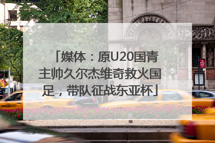 媒体：原U20国青主帅久尔杰维奇救火国足，带队征战东亚杯
