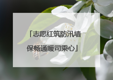 志愿红筑防汛墙 保畅通暖司乘心
