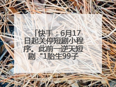 快手：6月17日起关停短剧小程序。此前一逆天短剧“1胎生99子”被全网下架