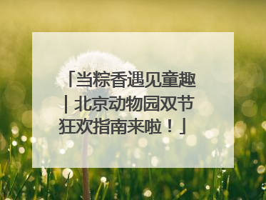 当粽香遇见童趣｜北京动物园双节狂欢指南来啦！