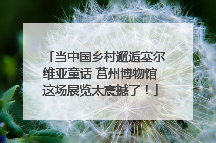 当中国乡村邂逅塞尔维亚童话 莒州博物馆这场展览太震撼了！