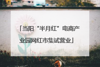 当阳“半月红”电商产业园网红市集试营业
