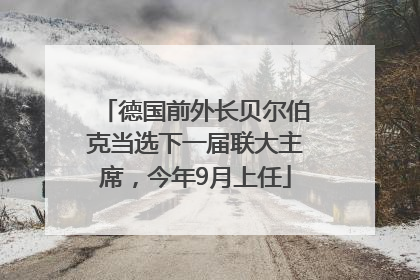 德国前外长贝尔伯克当选下一届联大主席，今年9月上任