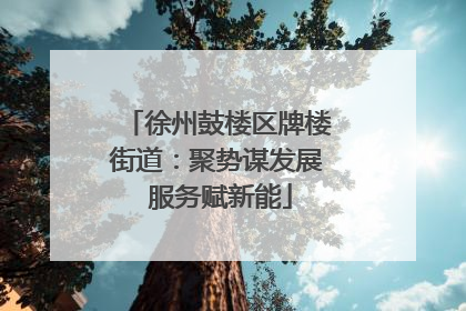徐州鼓楼区牌楼街道：聚势谋发展 服务赋新能