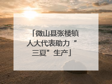 微山县张楼镇人大代表助力“三夏”生产
