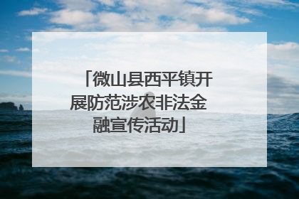 微山县西平镇开展防范涉农非法金融宣传活动