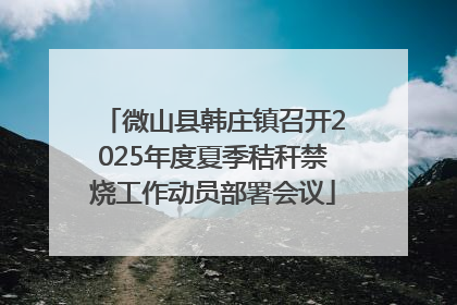 微山县韩庄镇召开2025年度夏季秸秆禁烧工作动员部署会议