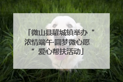 微山县驩城镇举办“浓情端午·圆梦微心愿”爱心帮扶活动