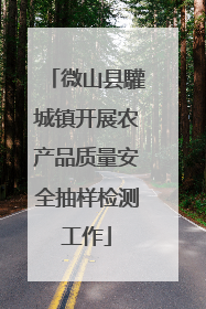 微山县驩城镇开展农产品质量安全抽样检测工作