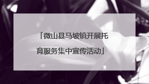 微山县马坡镇开展托育服务集中宣传活动