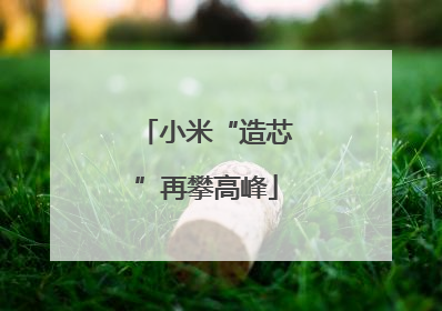 小米“造芯”再攀高峰