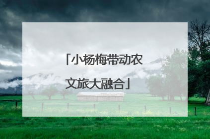 小杨梅带动农文旅大融合