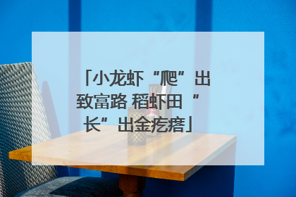 小龙虾“爬”出致富路 稻虾田“长”出金疙瘩