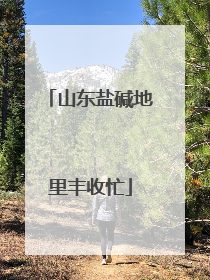 山东盐碱地里丰收忙