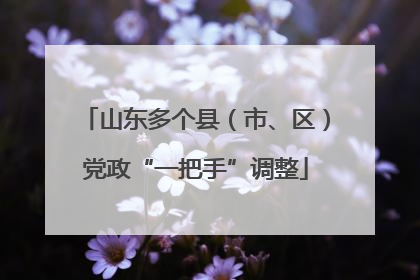 山东多个县（市、区）党政“一把手”调整