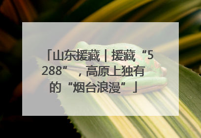 山东援藏｜援藏“5288”，高原上独有的“烟台浪漫”