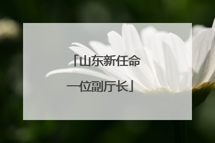 山东新任命一位副厅长