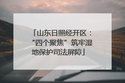 山东日照经开区：“四个聚焦”筑牢湿地保护司法屏障