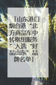山东港口烟台港“北方商品车中转枢纽服务”入选“好品山东”品牌名单