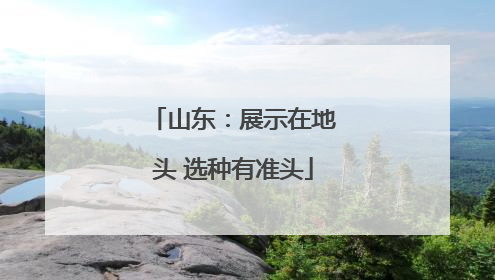 山东：展示在地头 选种有准头